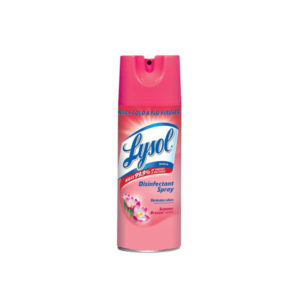 Lysol Summer Breeze (19 oz)