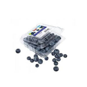 Blueberries (1 pt)