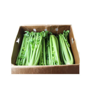 Celery Case (30 ct)