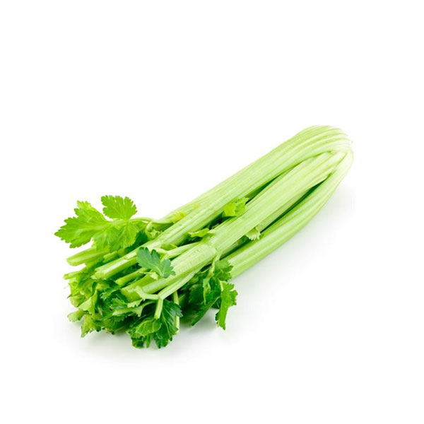 Celery Sleeves (1 pk) Lil General’s