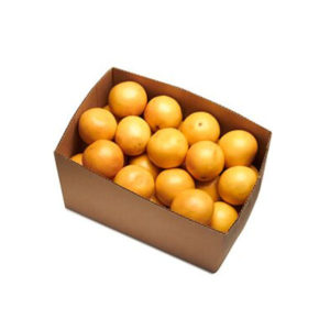 Grapefruit (1 cs)