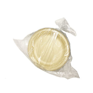 Fiber 6 inch dessert plate (50 ct)