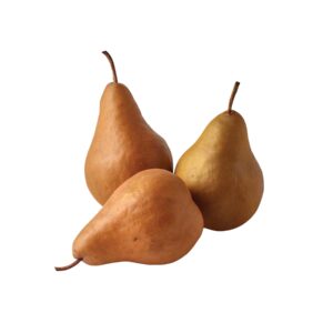 Bosc Pear 2ct